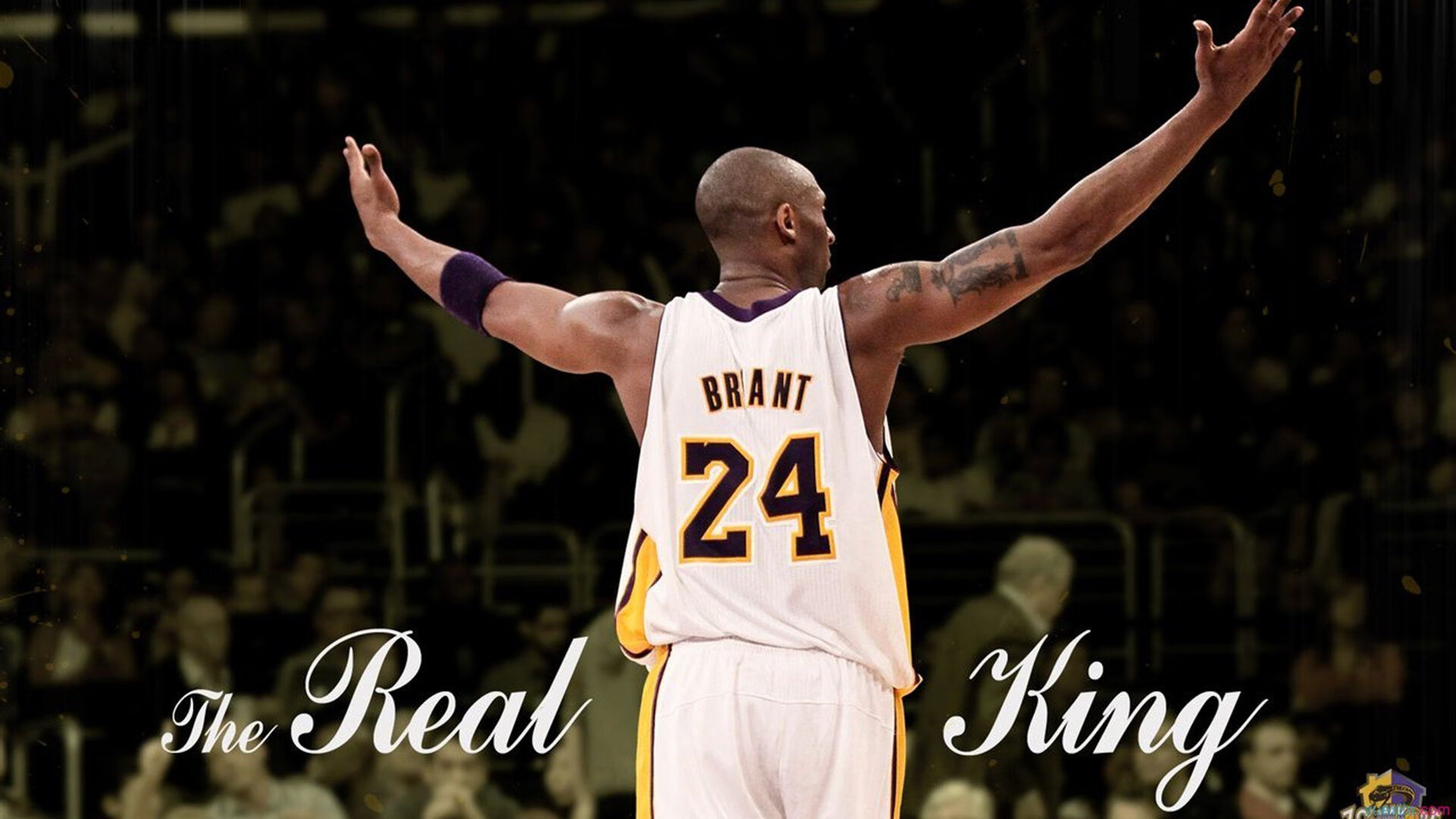 -推出线上瑜伽课程，方便学员随时学习，有没有好的线上瑜伽课程